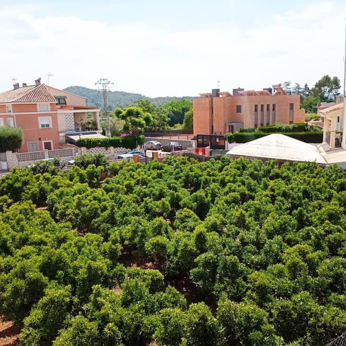 Apartamento Piso Sierra Calderona A 15 Minutos Del Mar Estivella Exterior foto